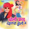 About Choli Faar Dehlas Holi Me Song